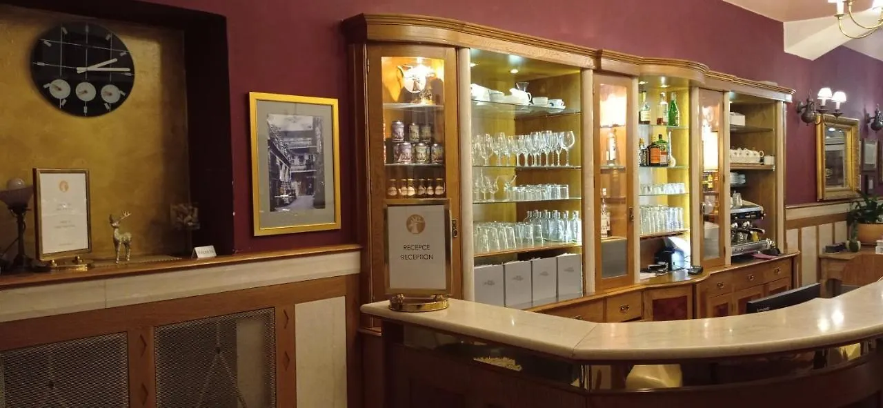 Hotel U Zlateho Jelena Prague