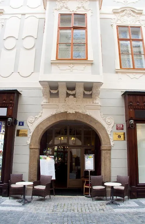 Hotel U Zlateho Jelena Praga